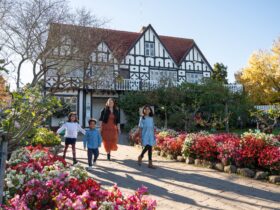 Family walks in front of a Tudor style architecture buidling