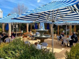 An outdoor cafe with large umbrellas to provide shade