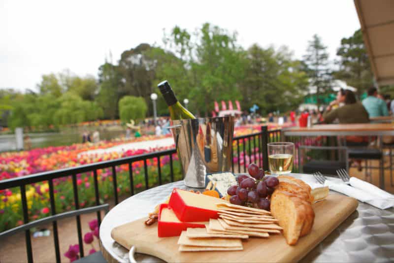 Wine and cheese platter overlooking a lakeside of spring blooms