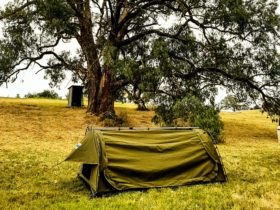 Camp set up under big apple box tree. Bush dunny in the back.