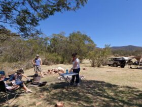 Bendethera Valley campground group, Deua National Park. Photo: Lucas Boyd Copyright:NSW Government