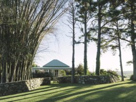 Byron View Farm
