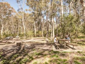Corree campground, Brindabella National Park. Photo: Murray van der Veer/NSW Government
