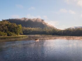 People canoeing along Cudgegong river, Dunns Swamp - Ganguddy campground, Wollemi National Park.