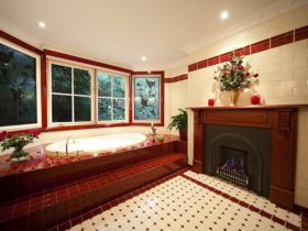 Mahogany fireplace spa bathroom
