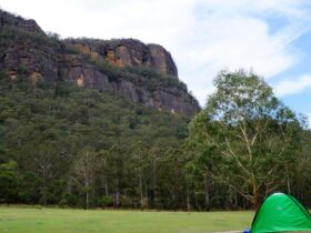 Dramatic cliffs at Newnes campground in Wollemi National Park. Credit: Stephen Alton © DPE