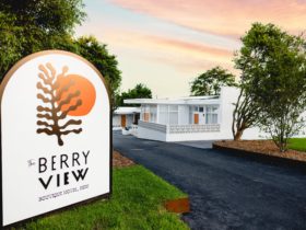 The Berry View