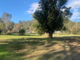 The Old Pub House Wollombi Camping