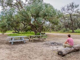 Willandra group campground, Willandra National Park. Photo: John Spencer/NSW Government
