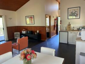 The view of the kitchenette and open space of the Yulo Cop cosy cottage