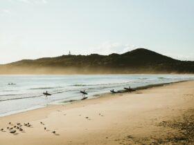 Surfers catching morning waves at Belongil Beach, Byron Bay