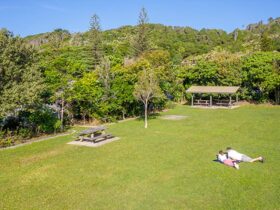 Aerial view of picnickers and picnic tables at Broken Head picnic area in Broken Head Nature Reserve