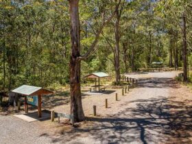 The road to Cobark Park picnic area with signage and a covered picnic table on the left in