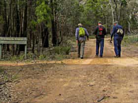 Ironbark walking track, Conimbla National Park. Photo: M Cooper/NSW Government