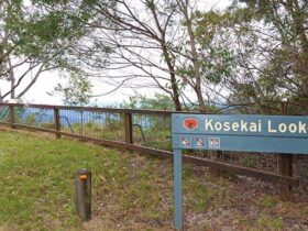 Kosekai lookout, Dunggir National Park. Photo: Rob Cleary © OEH