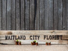 Maitland City Florist