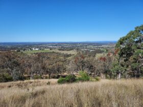 Blue sky and Mountains at top, Inverell township in middle, trees and grass in foreground.