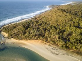 Aerial image of the beach at Mimosa Rocks National Park. Photo: John Spencer © DPIE