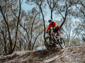 Mountain Bike Trails Murray Valley Regional Park - Deniliquin Deni