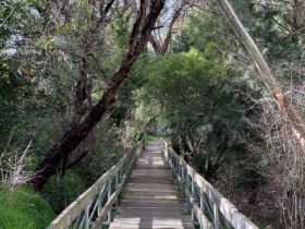Mulwaree River WalkWay - wooden bridge