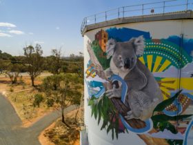Narrandera Water Tower Art Trail