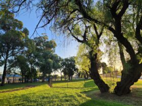 Off leash dog park - Burley Griffin Community Gardens