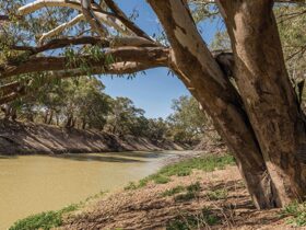 The Darling River at Coach and Horses campground. Photo: John Spencer © DPIE