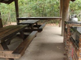 Barbecues and picnic tables under a shelter at Pebbly Beach picnic area, Murramarang National Park.