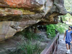 Red Hands Cave, Ku-ring-gai Chase National Park. Photo: Andy Richards/NSW Government