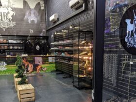 Interior of Rogue Royalty shop in Campbelltown