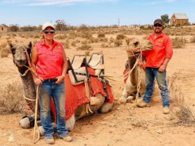 Petah and Duncan with camels Yatungka & Harold in the beautiful setting of Historic Silverton