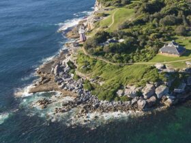 Aerial view of South Head, Sydney Harbour National Park. Photo: David Finnegan/DPIE