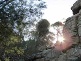 Falcon Falls walking track, Cocoparra National Park. Photo: NSW Government
