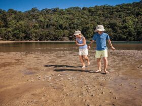 Children looking for soldier crabs on the sand at The Basin, Ku-ring-gai Chase National Park. Photo: