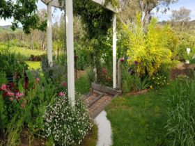 Photo of the garden. Green grass, white shade structure in the middle, various plants and flowers.