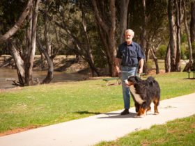 Man walking large dog on footpath adjacent to Murray River