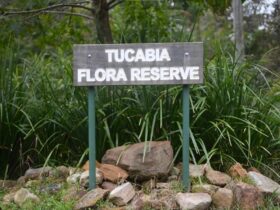 Tucabia Flora Reserve