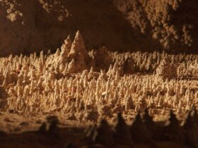 A close-up view of tiny stalagmites in Wollondilly Cave. Credit: Stephen Babka/DPE © Stephen