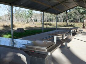 Barbeques in Yanga Woolshed picnic area. Photo: David Finnegan © OEH