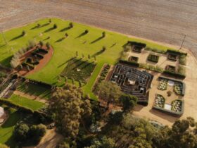 Solve a riddle, get lost in a maze at the Glencara Rustic Maze open day on Sunday June 11.