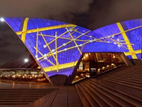 Bennelong sails illuminated with bamboo and stars on a blue background