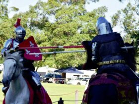 Berry Celtic Festival Jousting Knights