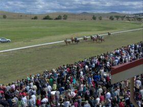 Race Day at Cooma
