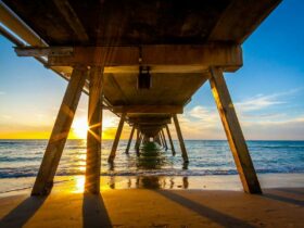 photograph taken underneath the Coffs Harbour Jetty, looking out toward the ocean at sunrise