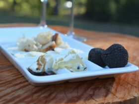 Join in a truffle tasting or a fungi dinner