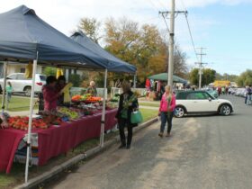 Markets and Mini's Hay NSW