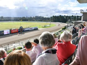 Over 55s enjoying the racing at Club Menangle Trackside