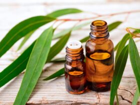 Essential oil bottles with eucalyptus leaves