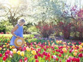 A lady walking through a garden of beautiful tulips.