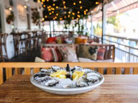 freshly shucked oysters on a tray of ice with fresh lemon. Placed on a table with lounges